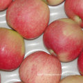 Chinese Fresh Red Gala Apple From Orchard to Your Warehouse